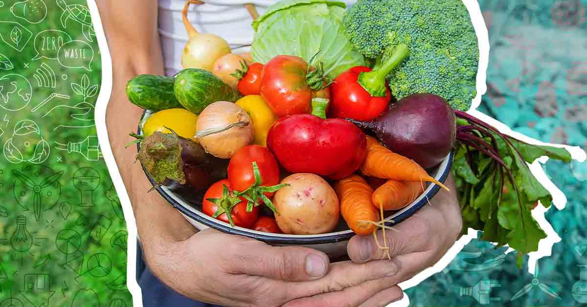 Gastronom A Sostenible Sabes Qu Hay Detr S De Lo Que Comes